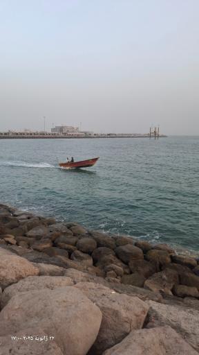 عکس پارک دوچرخه سواری