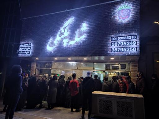 عکس شله پلنگی