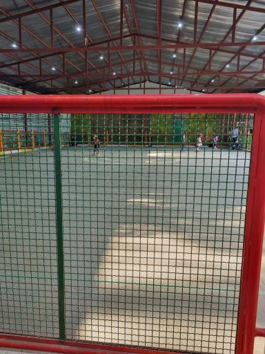 عکس زمین اسکیت