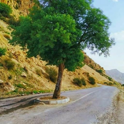 عکس گردنه مروارید 