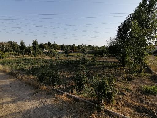 عکس باغ فیروزه