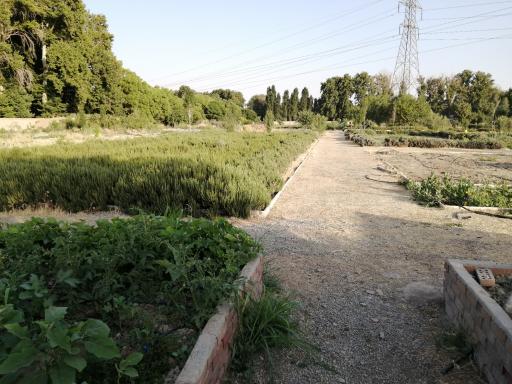 عکس باغ فیروزه