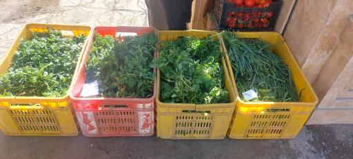 عکس میوه سرای دستچین