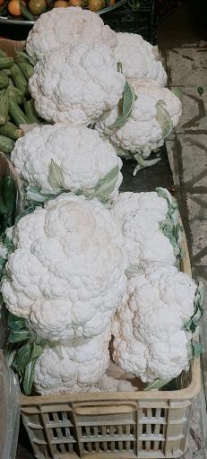 عکس میوه سرای دستچین