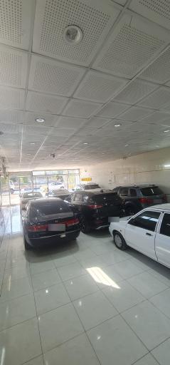 عکس اتوگالری نفس