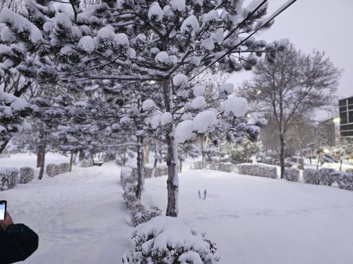 عکس دریاچه شورابیل