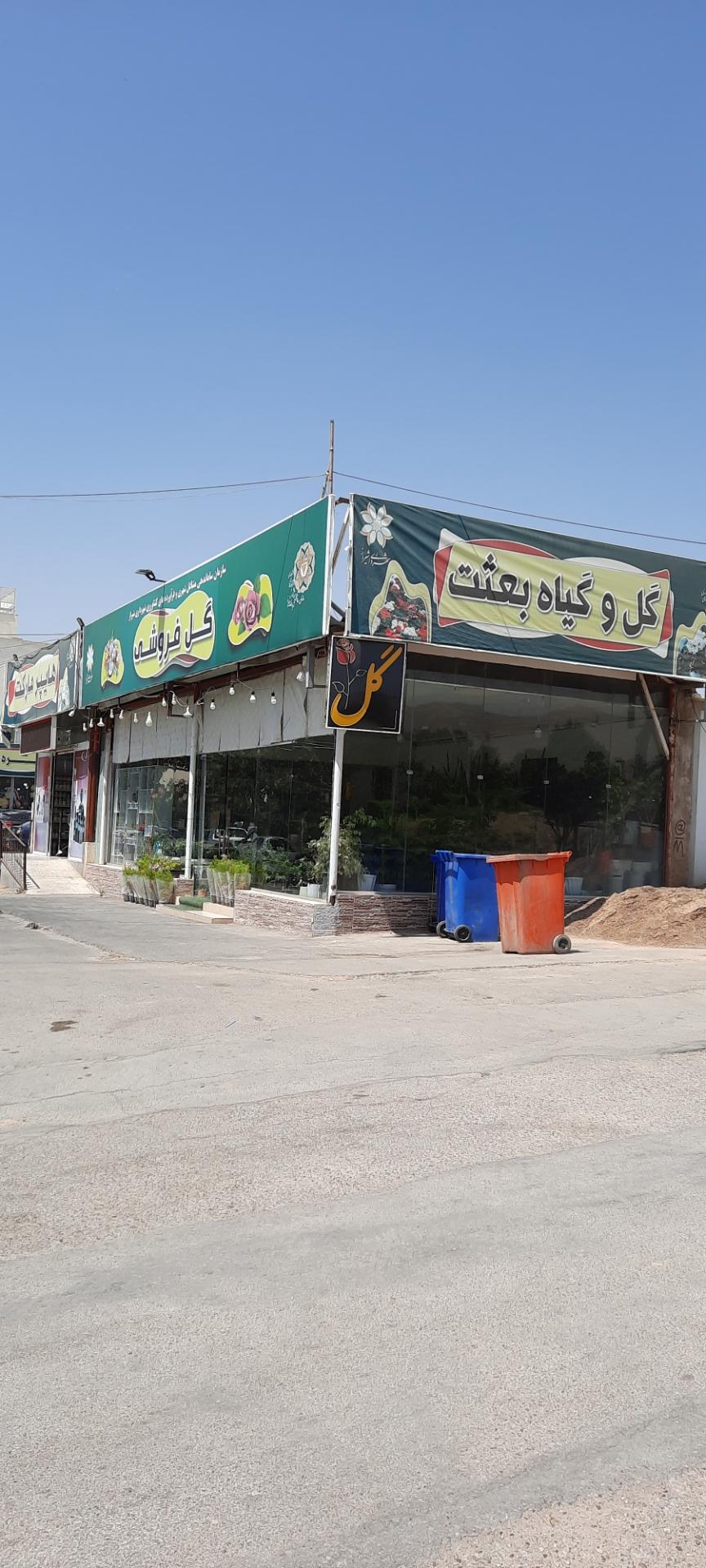 عکس گل فروشی بعثت