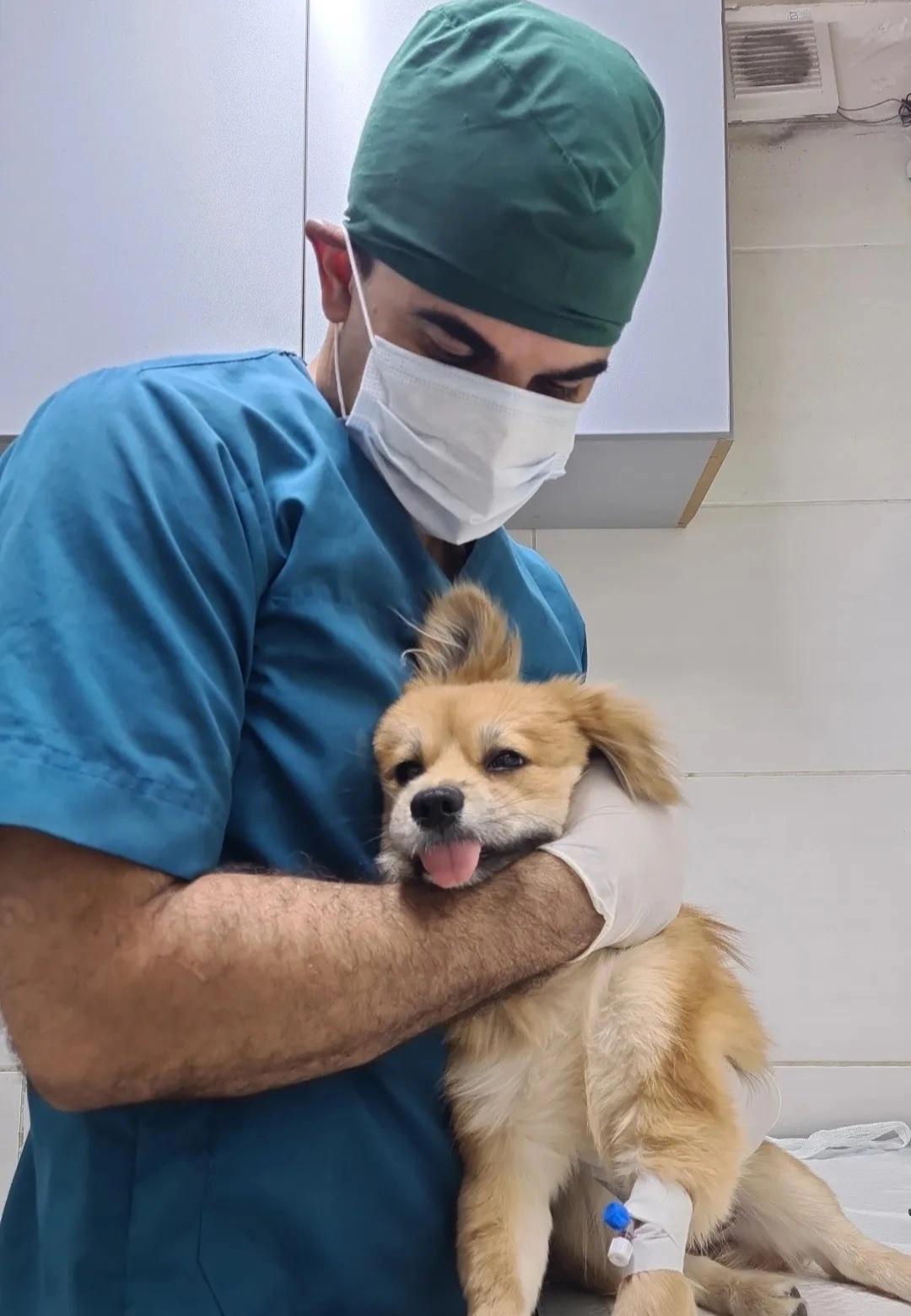 عکس کلینیک دامپزشکی البرز