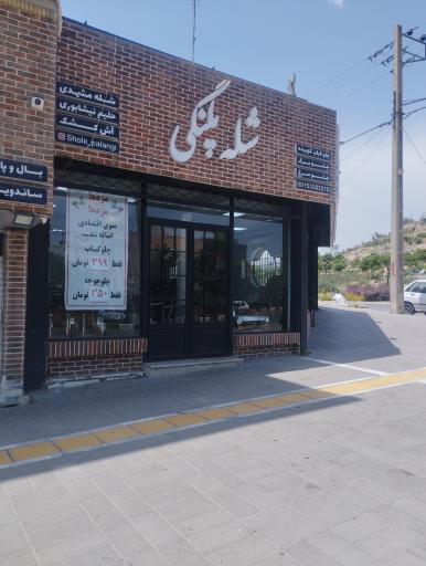 عکس شله پلنگی