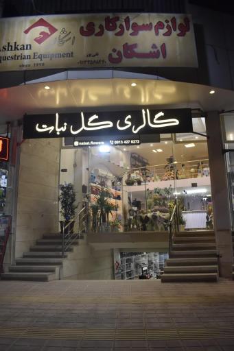 عکس گالری گل نبات