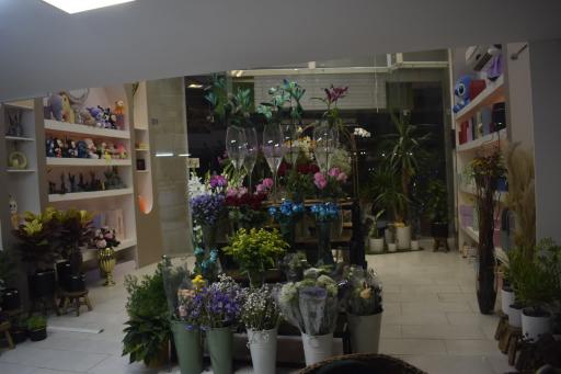 عکس گالری گل نبات