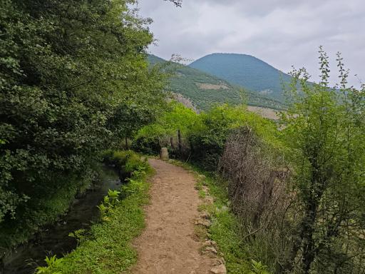 عکس ملک جوی