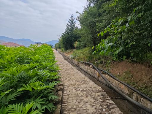 عکس ملک جوی