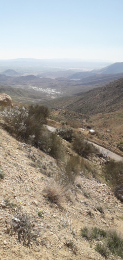 عکس گردنه مروارید 