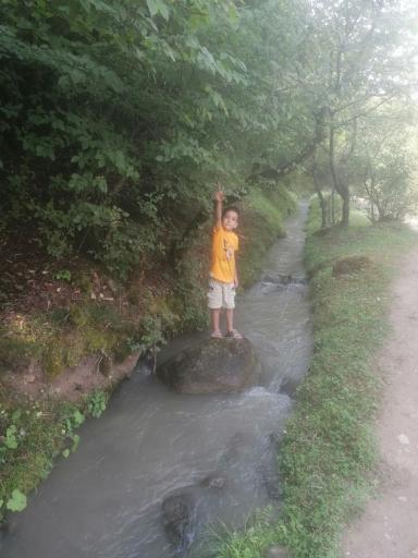 عکس ملک جوی