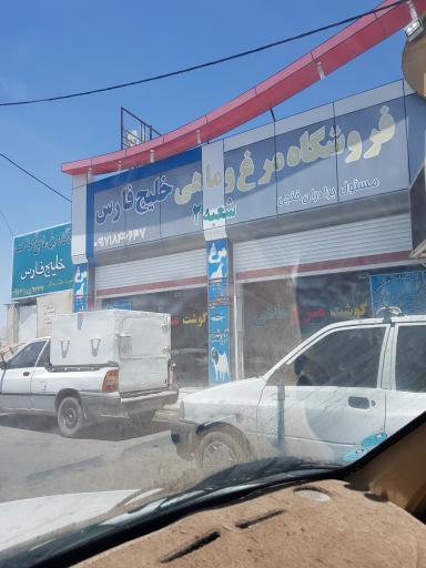 عکس مرغ و ماهی خلیج فارس شعبه ۲