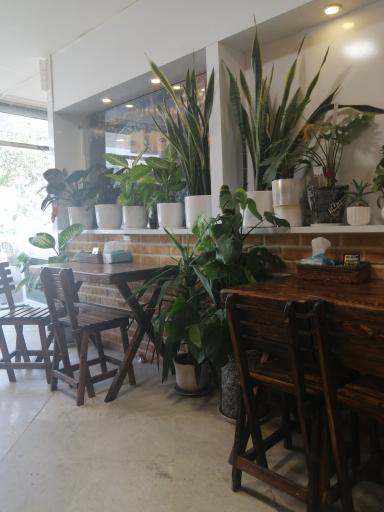 عکس شله پلنگی