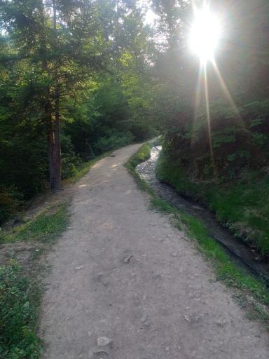 عکس ملک جوی