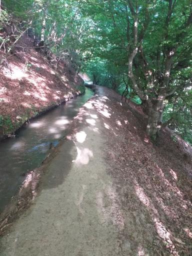 عکس ملک جوی