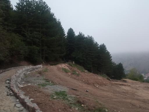 عکس ملک جوی