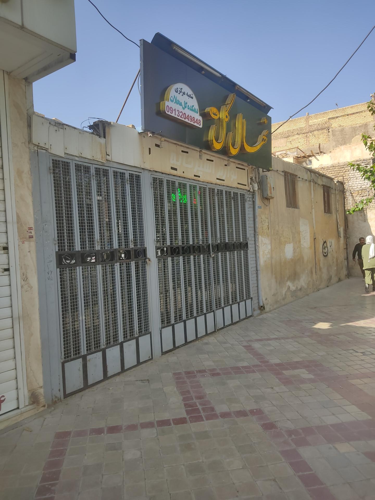 عکس نهال گل