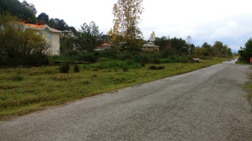 عکس کوه پایه