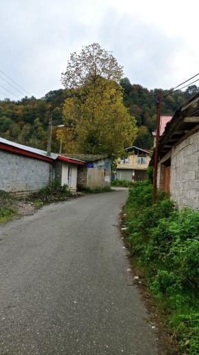 عکس کوه پایه