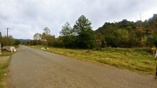 عکس کوه پایه