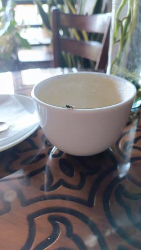 عکس کافه اکسیر