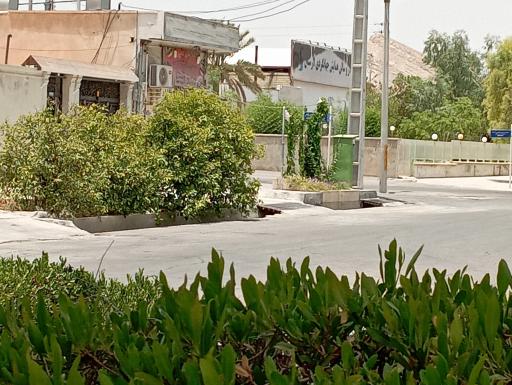 عکس کباب سرای تکچین