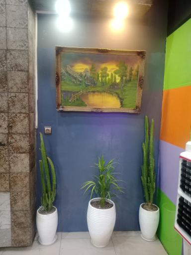 عکس بستنی سنتی امیر رادکان