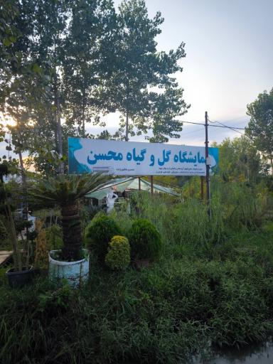 عکس نمایشگاه گل و گیاه محسن