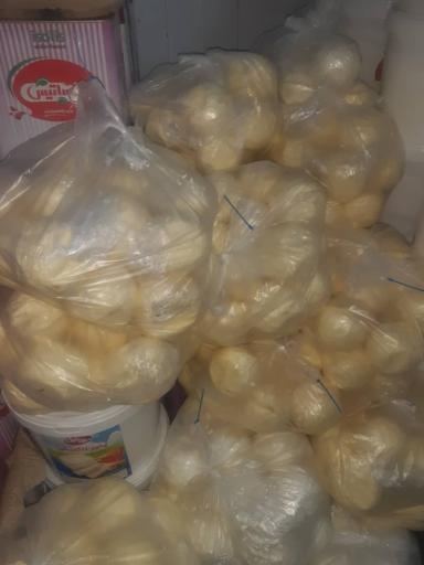 عکس پخش کره 