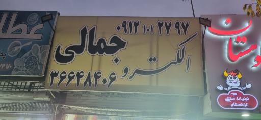 عکس الکترو جمالی