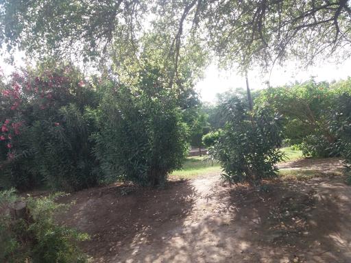 عکس پارک ساحلی پارس