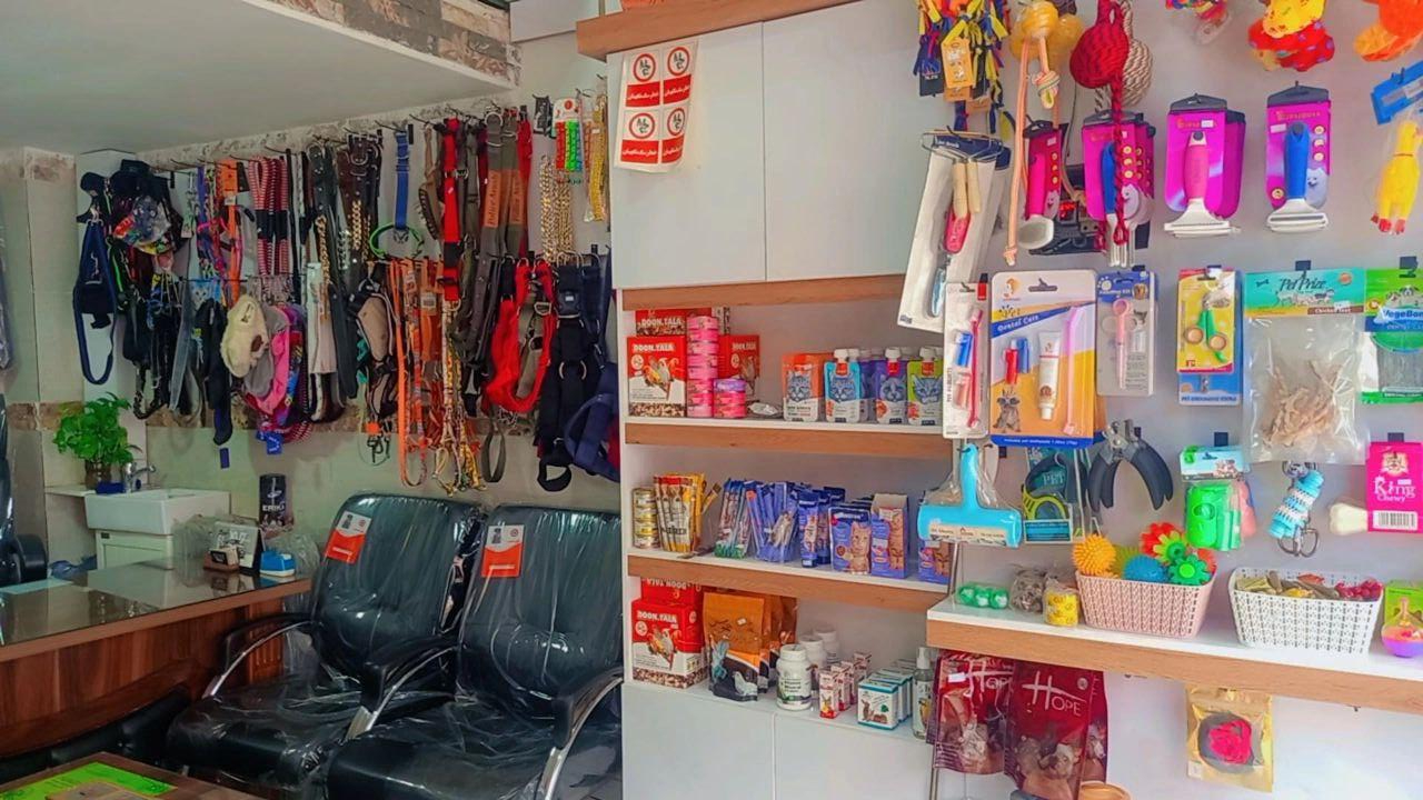 عکس پت سیتی  pet city