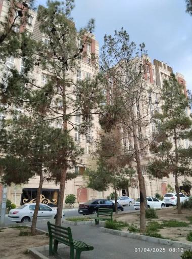 عکس پارک شهید سوسن آبادی