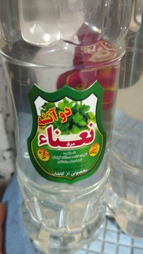 عکس گلاب و عرقیجات بهشت