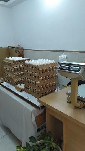 عکس عرضه و پخش تخم مرغ یاس