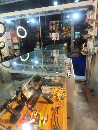 عکس آقای موبایل