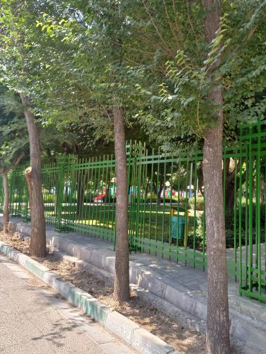 عکس پارک جامین