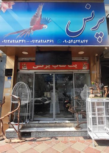 عکس طوطی سانان پرنس