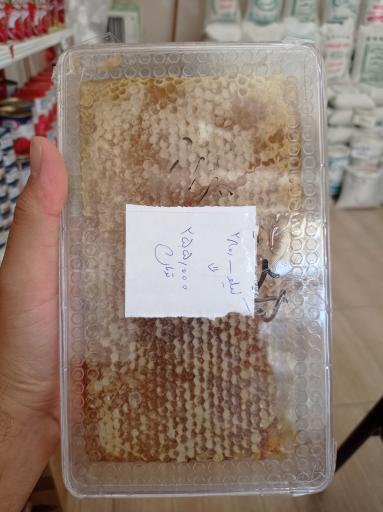 عکس پخش برنج بابایی