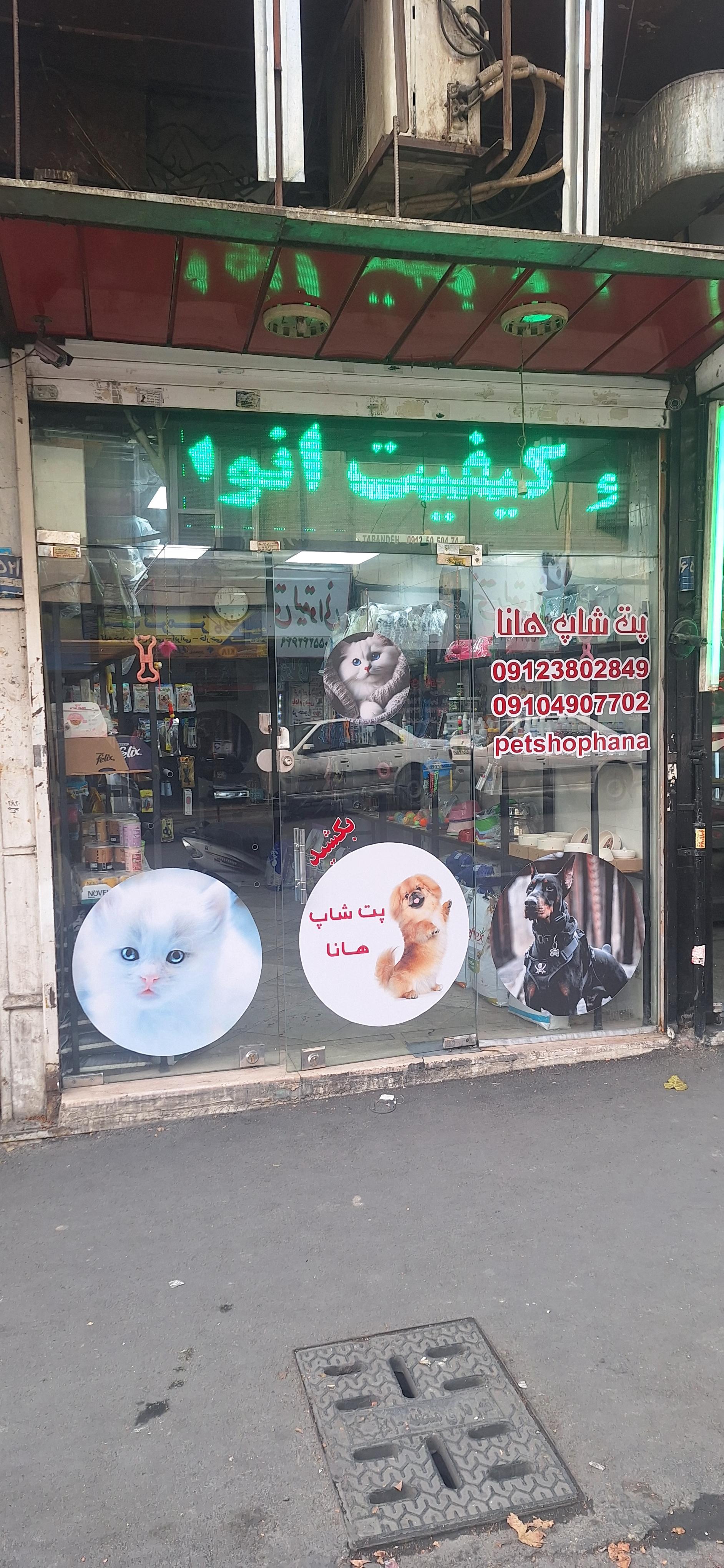 عکس پت شاپ هانا