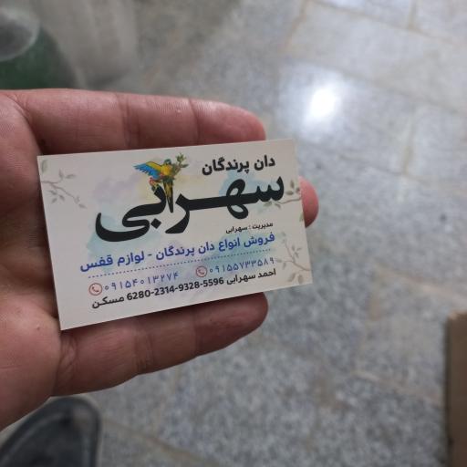 عکس دان پرندگان سهرابی