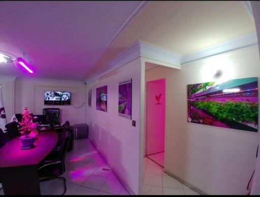 عکس ایران گرو لایت