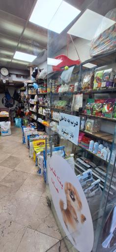 عکس پت شاپ هانا