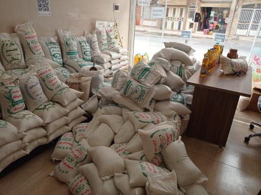 عکس پخش برنج بابایی