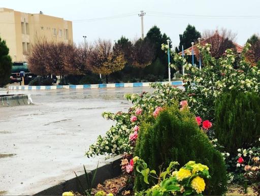 عکس میدان استاد (دانشگاه)