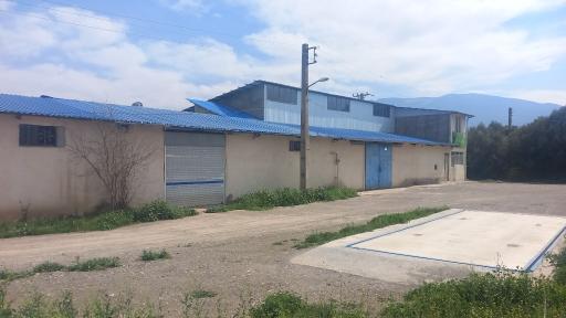 عکس کارخانه شالیکوبی مکانیزه کادوس (نعیمی)